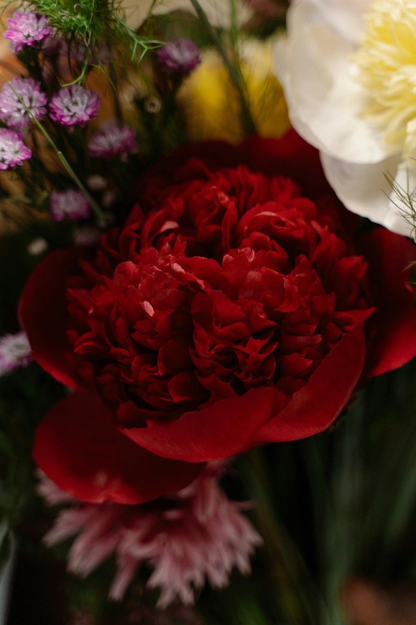 Symbolic Flowers for Love in Hong Kong