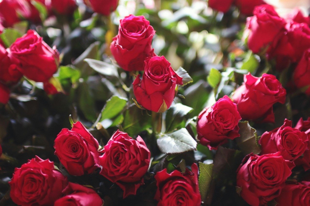 Renewal of Vows: Floral Themes for Celebrating Love Again
